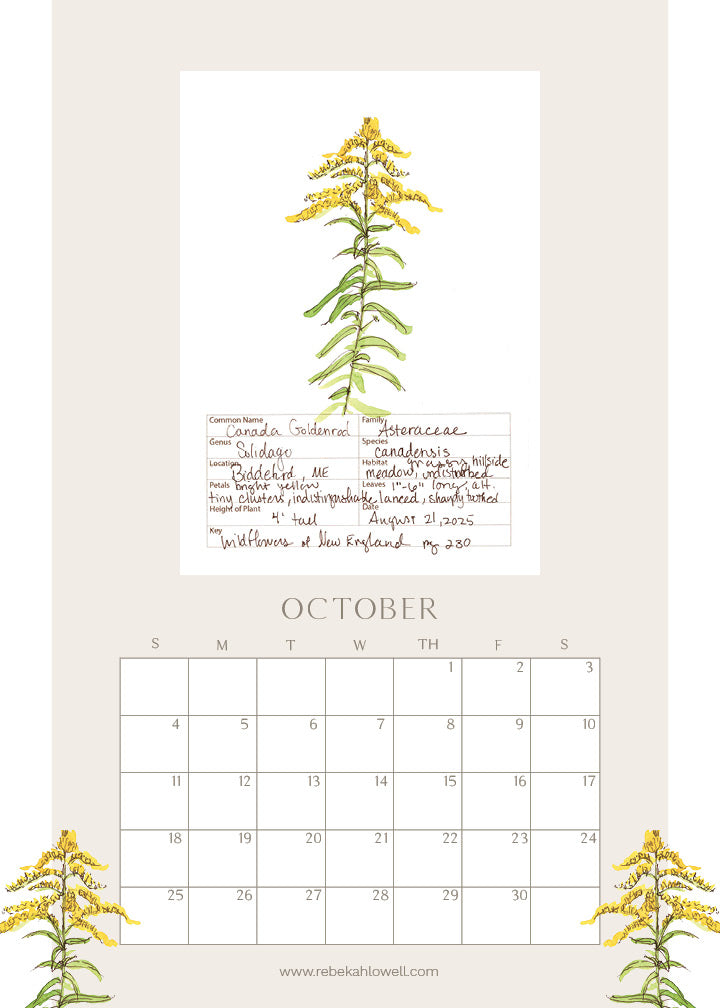 2026 Wildflower Wall Calendar