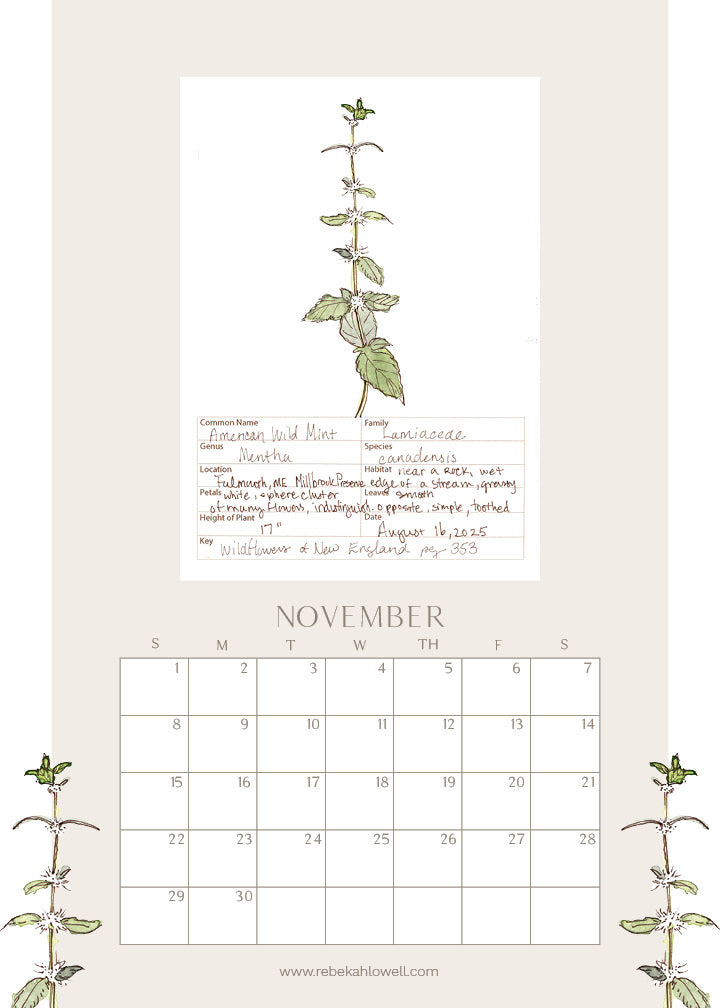 2026 Wildflower Wall Calendar