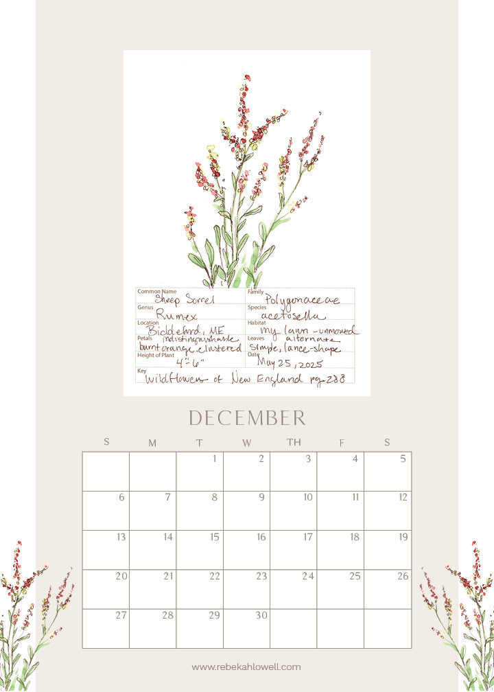 2026 Wildflower Wall Calendar