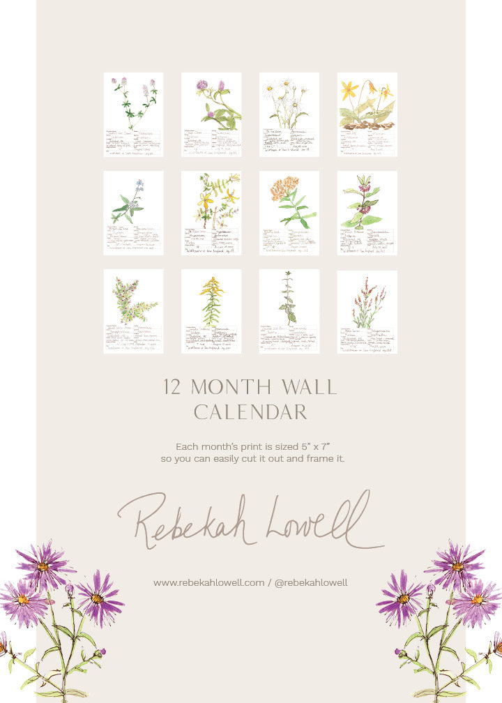 2026 Wildflower Wall Calendar