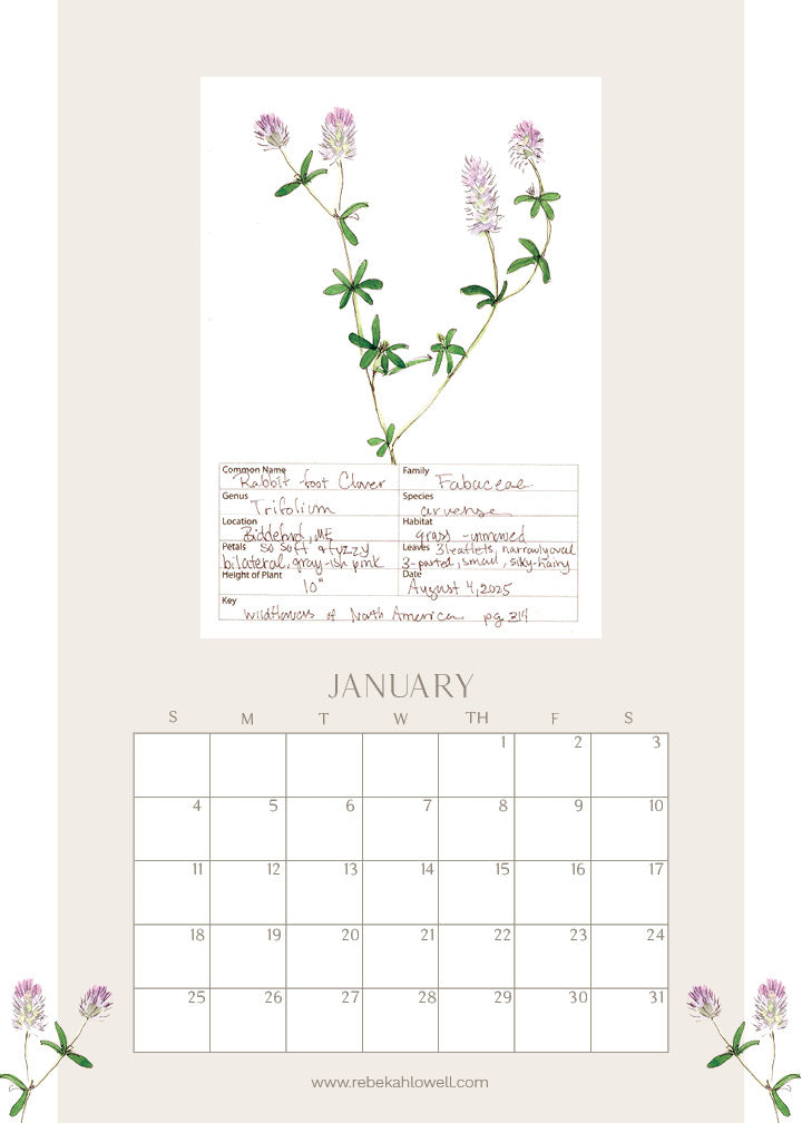 2026 Wildflower Wall Calendar