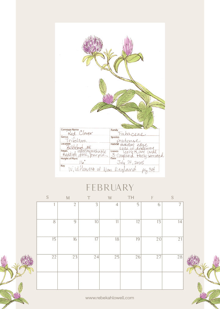 2026 Wildflower Wall Calendar