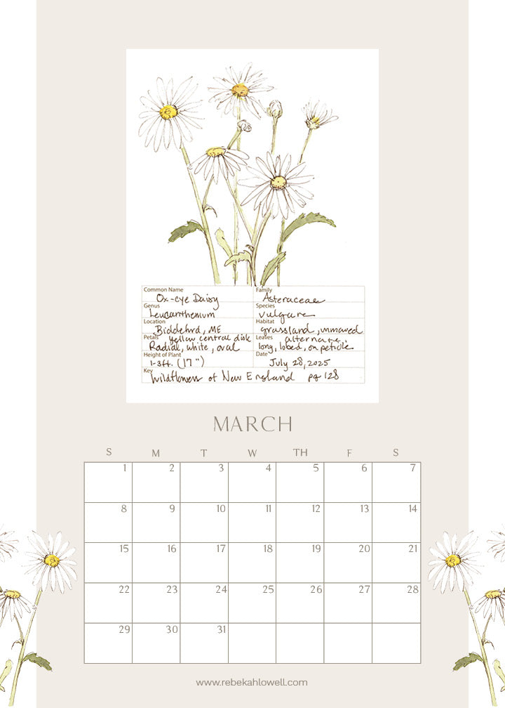 2026 Wildflower Wall Calendar