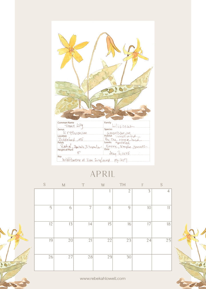 2026 Wildflower Wall Calendar