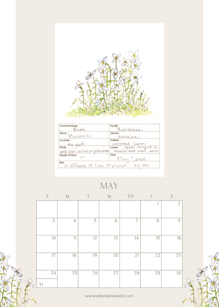 2026 Wildflower Wall Calendar