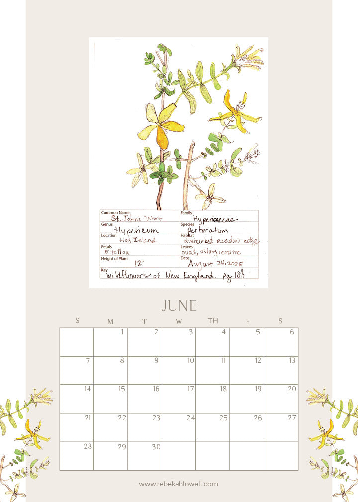 2026 Wildflower Wall Calendar