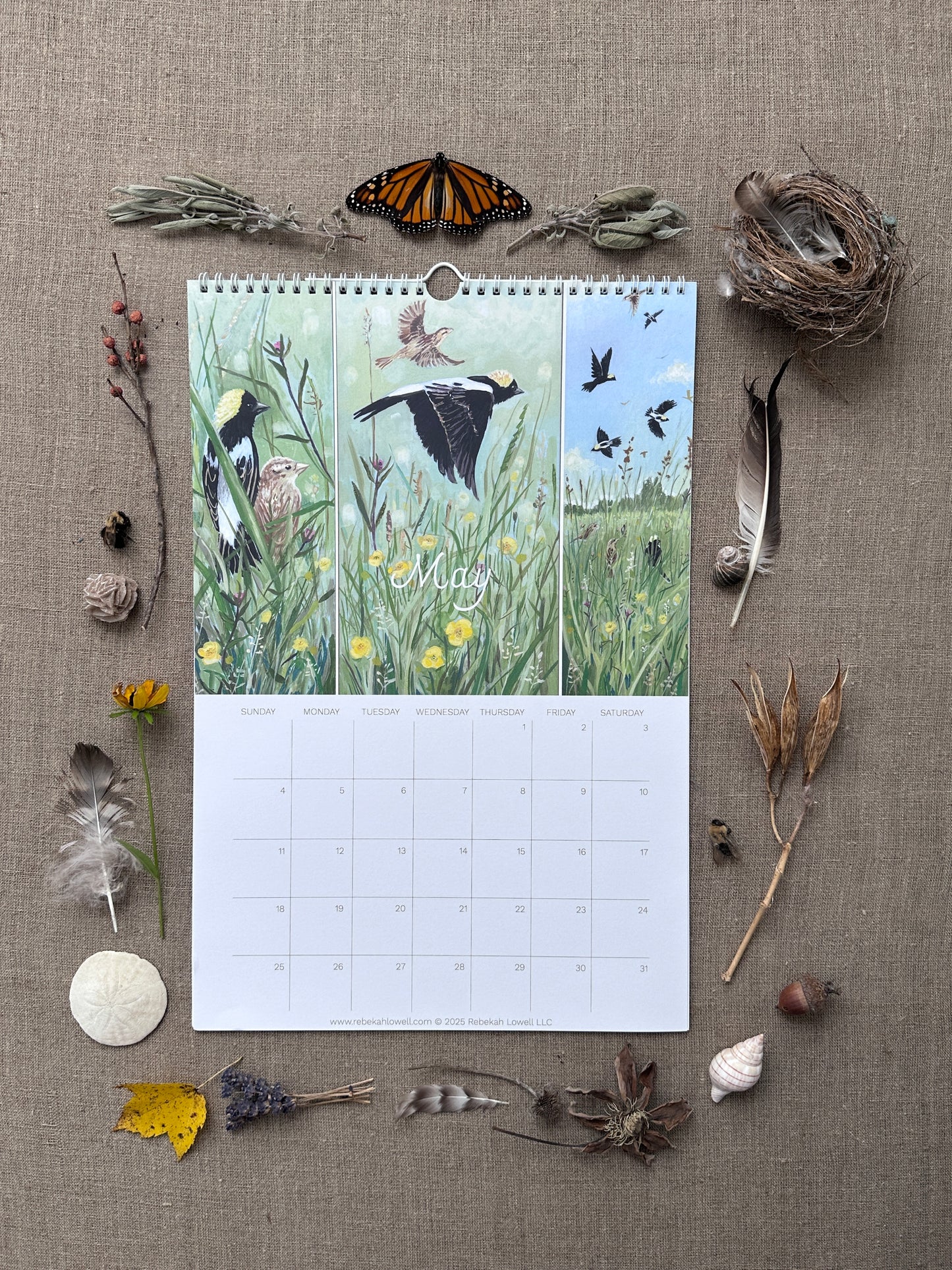 A Year in Nature 2025 Wall Calendar by Rebekah Lowell