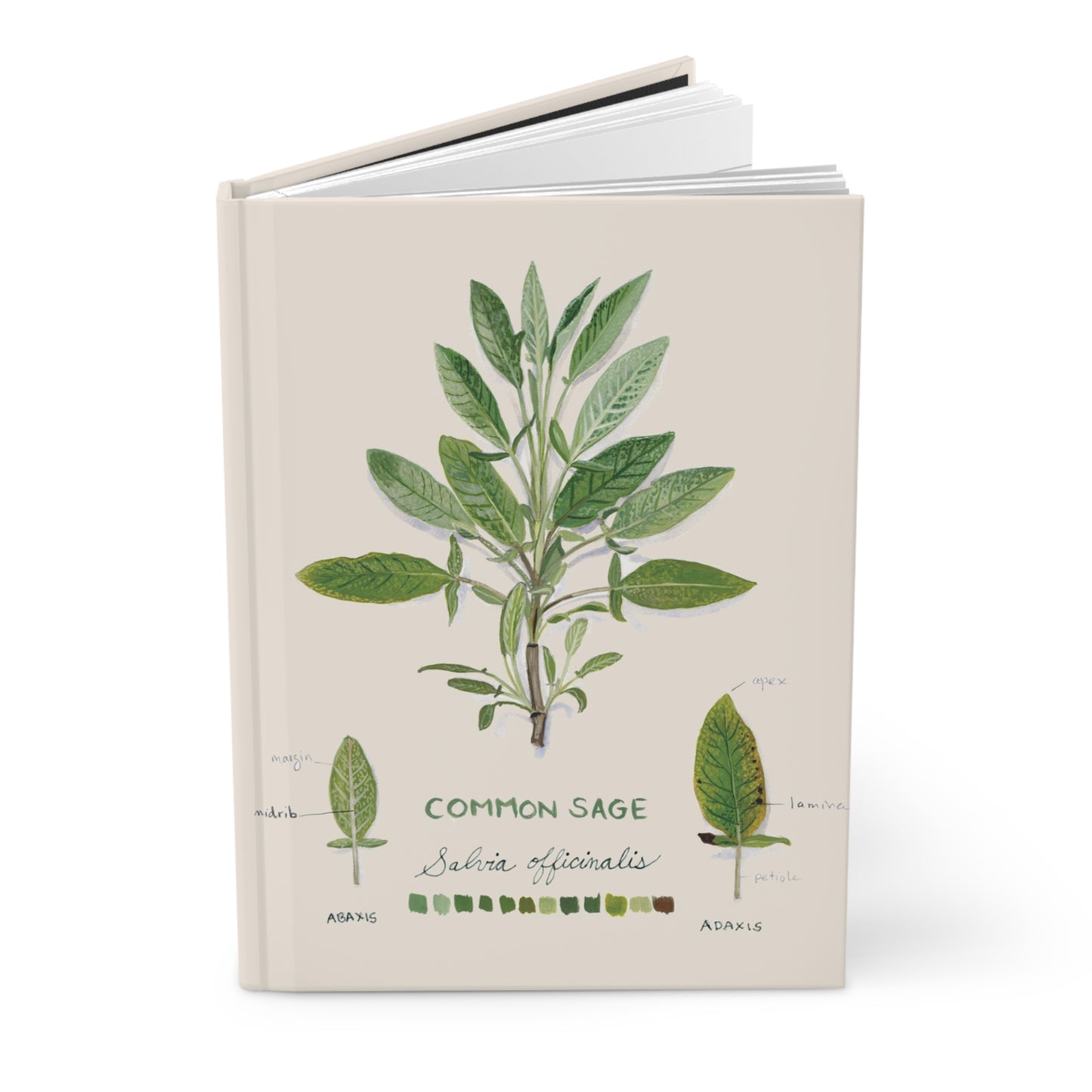 Common Sage Hardcover Lined Journal Matte