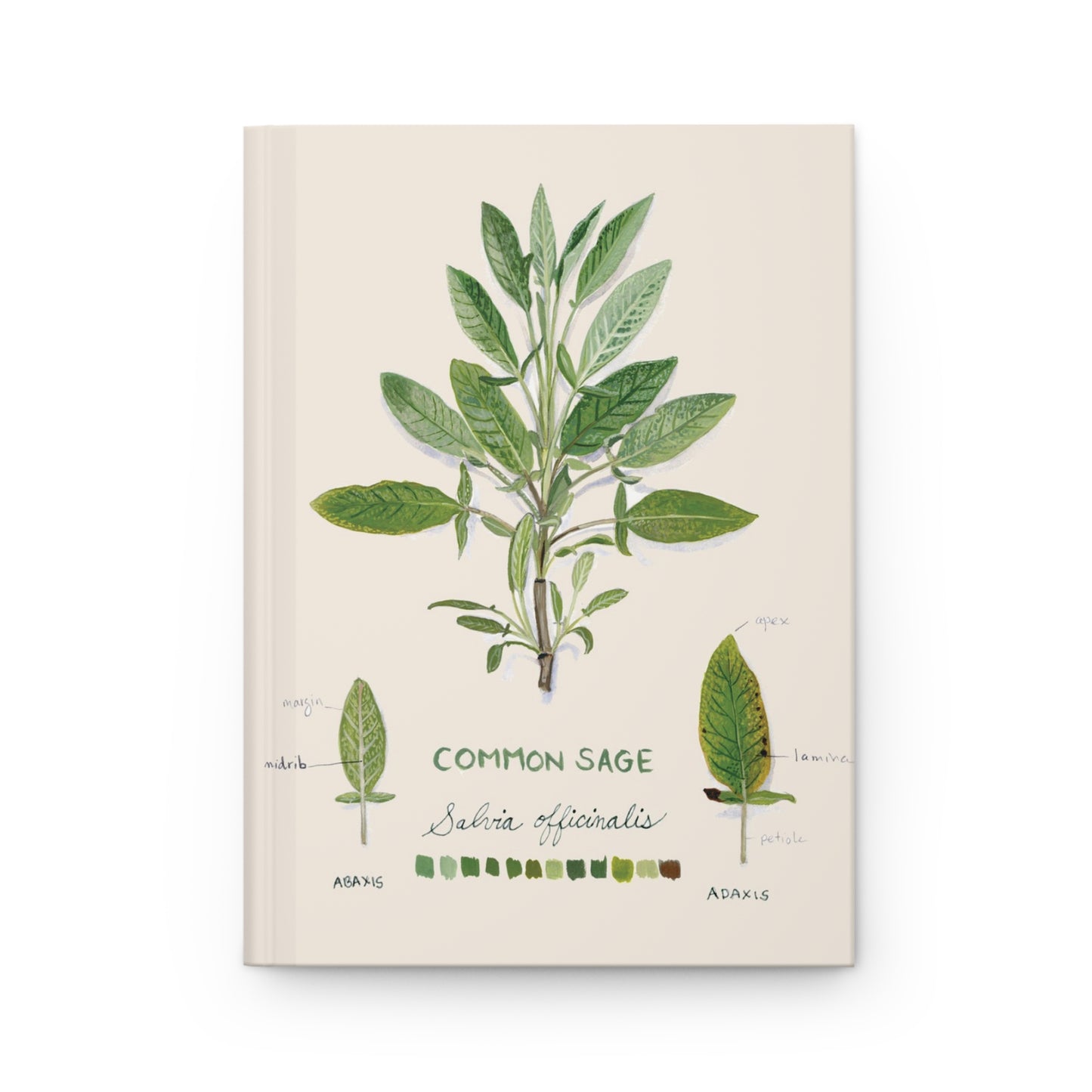 Common Sage Hardcover Lined Journal Matte