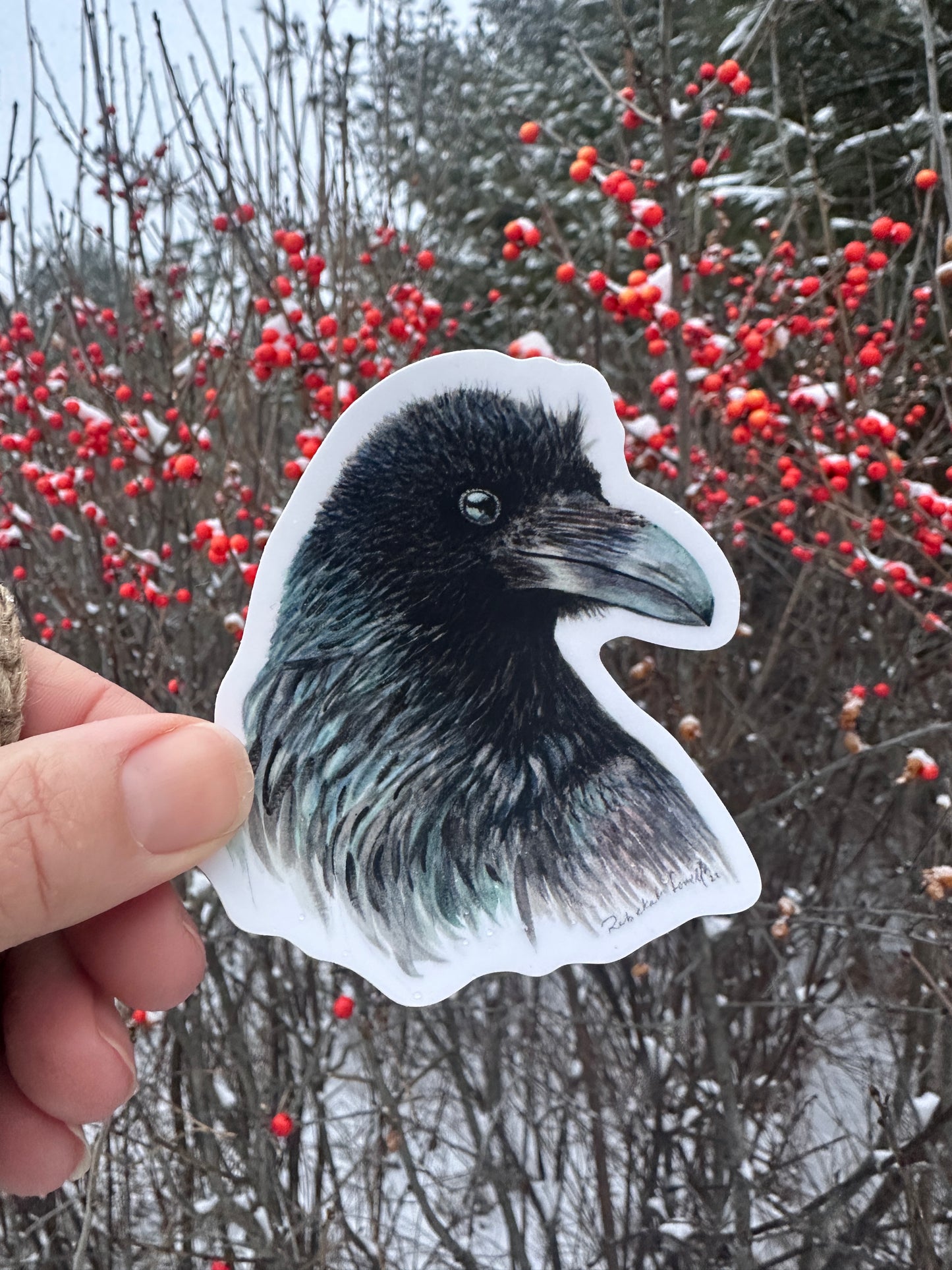 Raven Decal Bumper Sticker