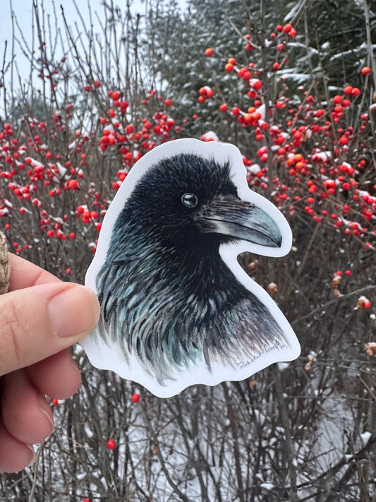 Raven Decal Bumper Sticker
