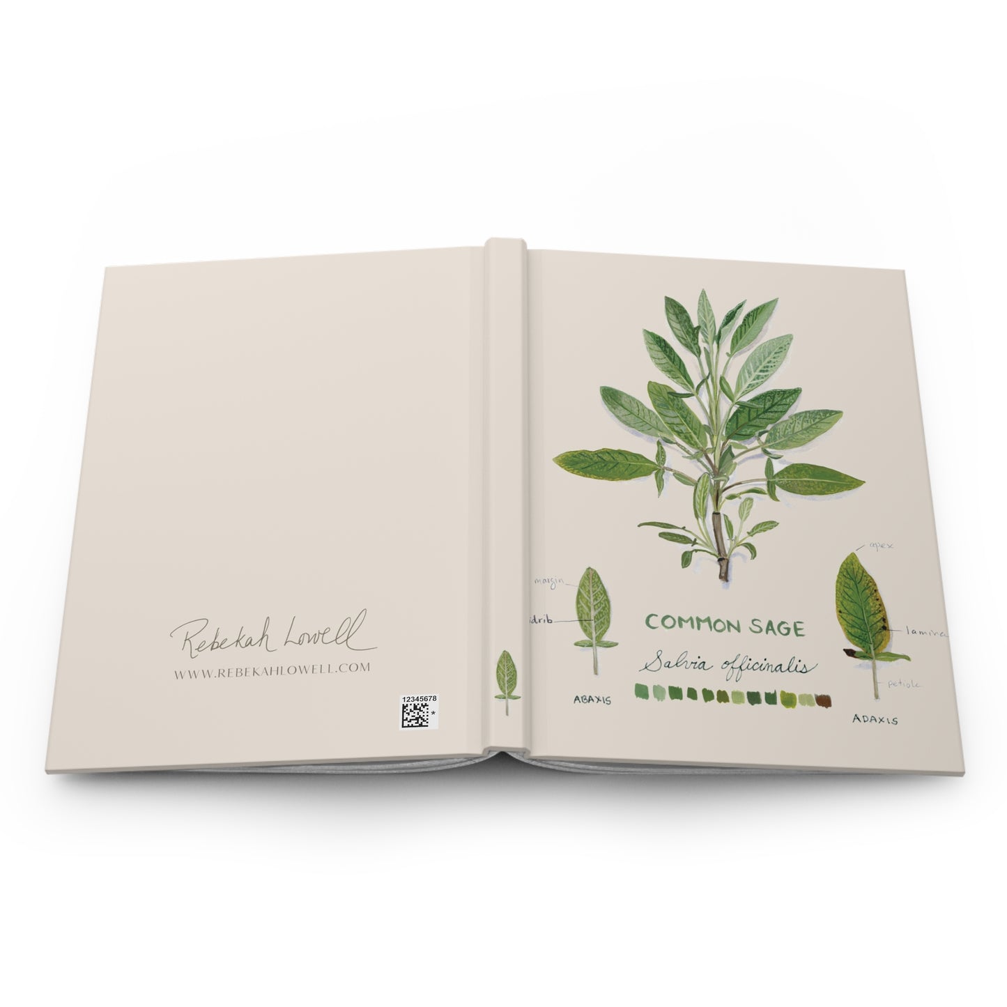 Common Sage Hardcover Lined Journal Matte