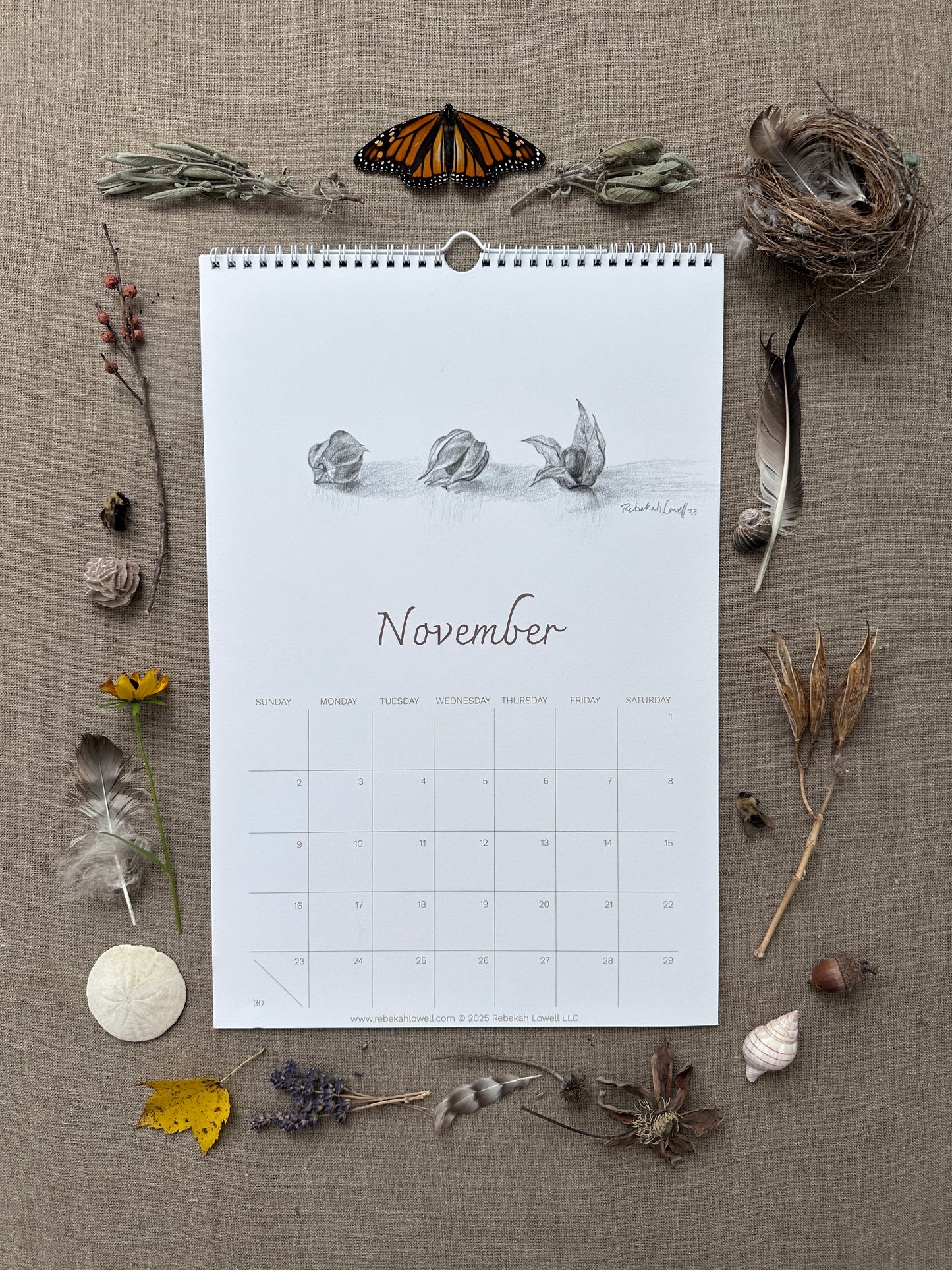 A Year in Nature 2025 Wall Calendar by Rebekah Lowell