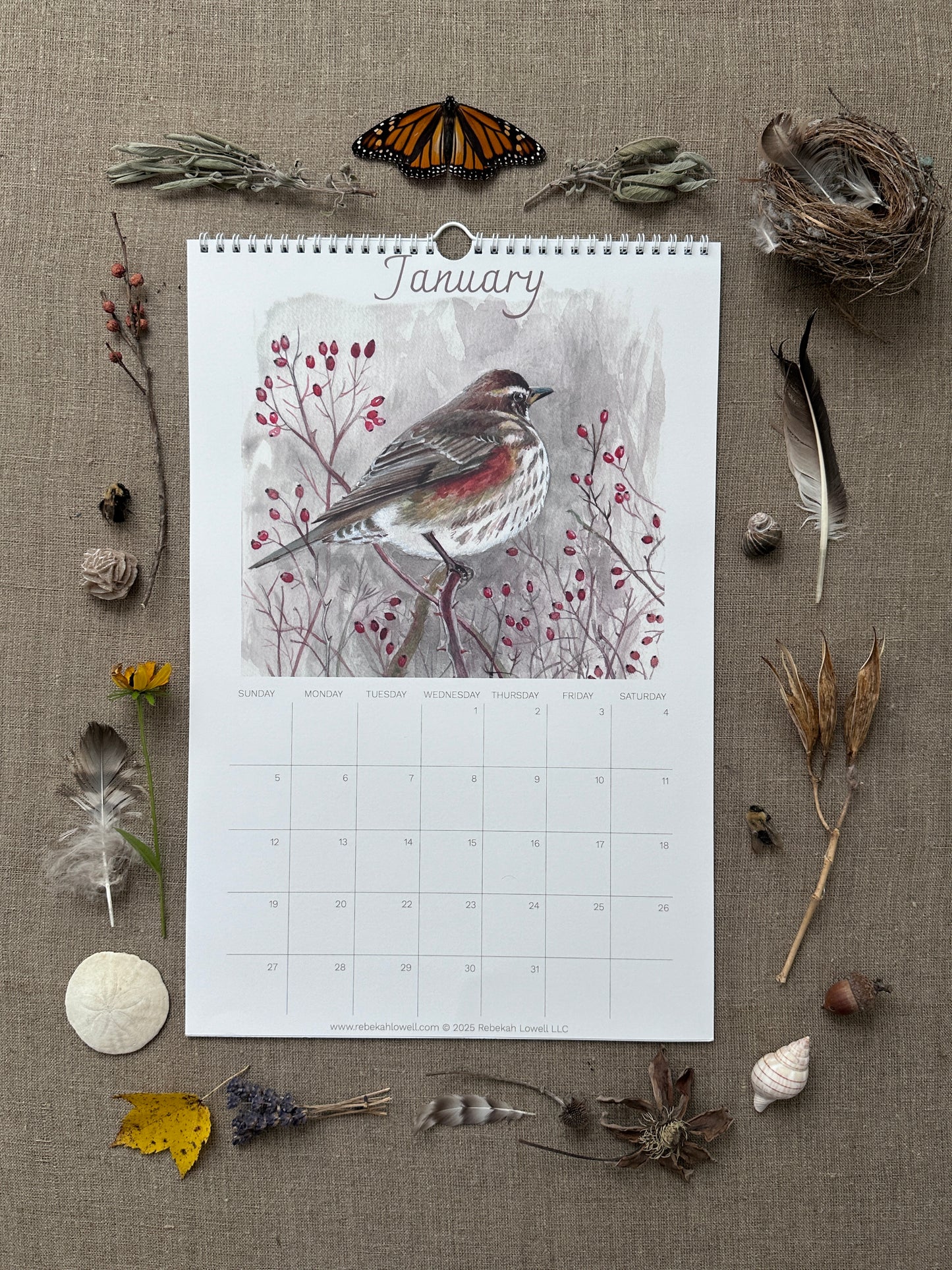 A Year in Nature 2025 Wall Calendar by Rebekah Lowell