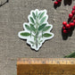 Common Sage Vinyl Decal Bumper Sticker