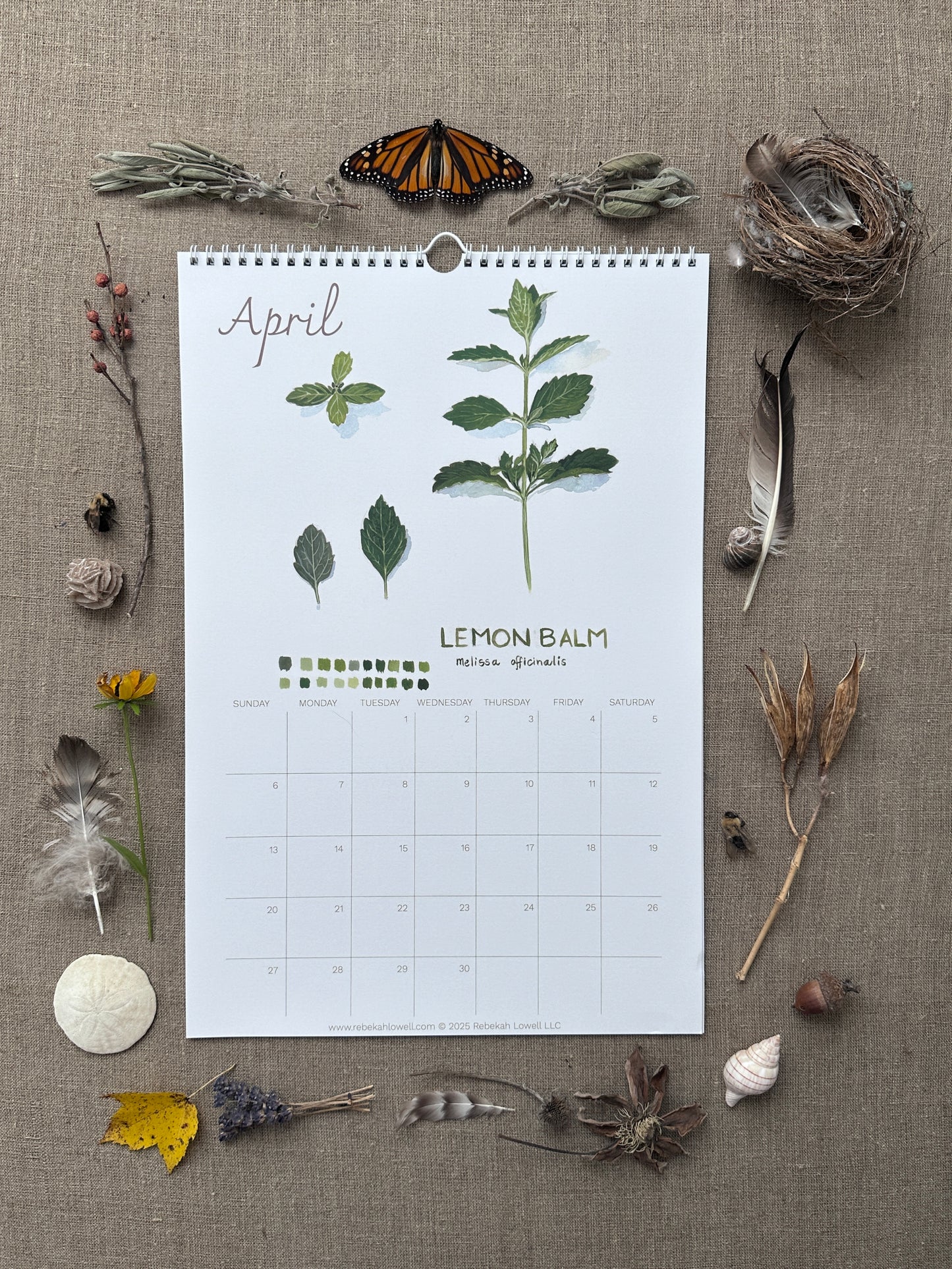 A Year in Nature 2025 Wall Calendar by Rebekah Lowell