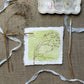 Grases Botanical Mini Original Painting