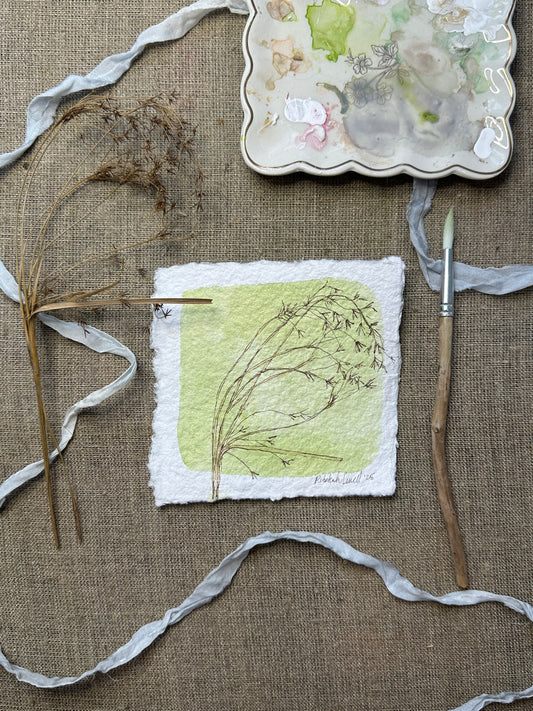 Grases Botanical Mini Original Painting
