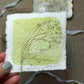 Grases Botanical Mini Original Painting