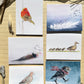 Boxed Set of Six Blank Notecards, Birds Collection