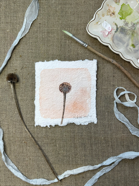 Echinacea Botanical Mini Original Painting