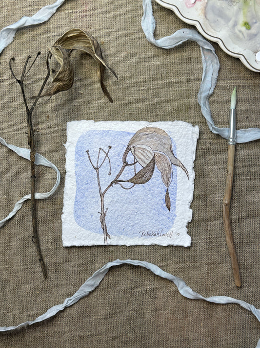 Swamp Milkweed Botanical Mini Original Painting