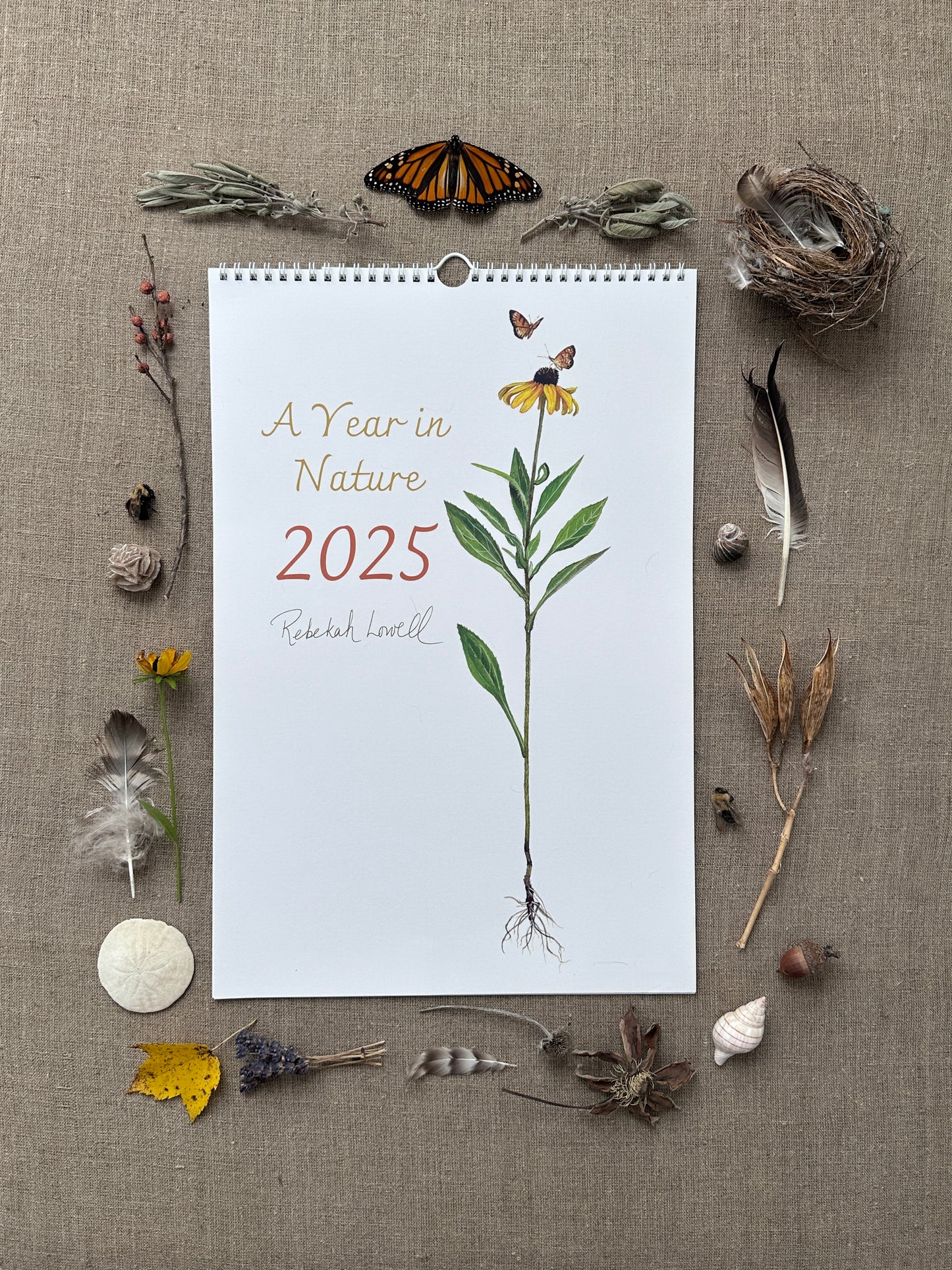 A Year in Nature 2025 Wall Calendar by Rebekah Lowell