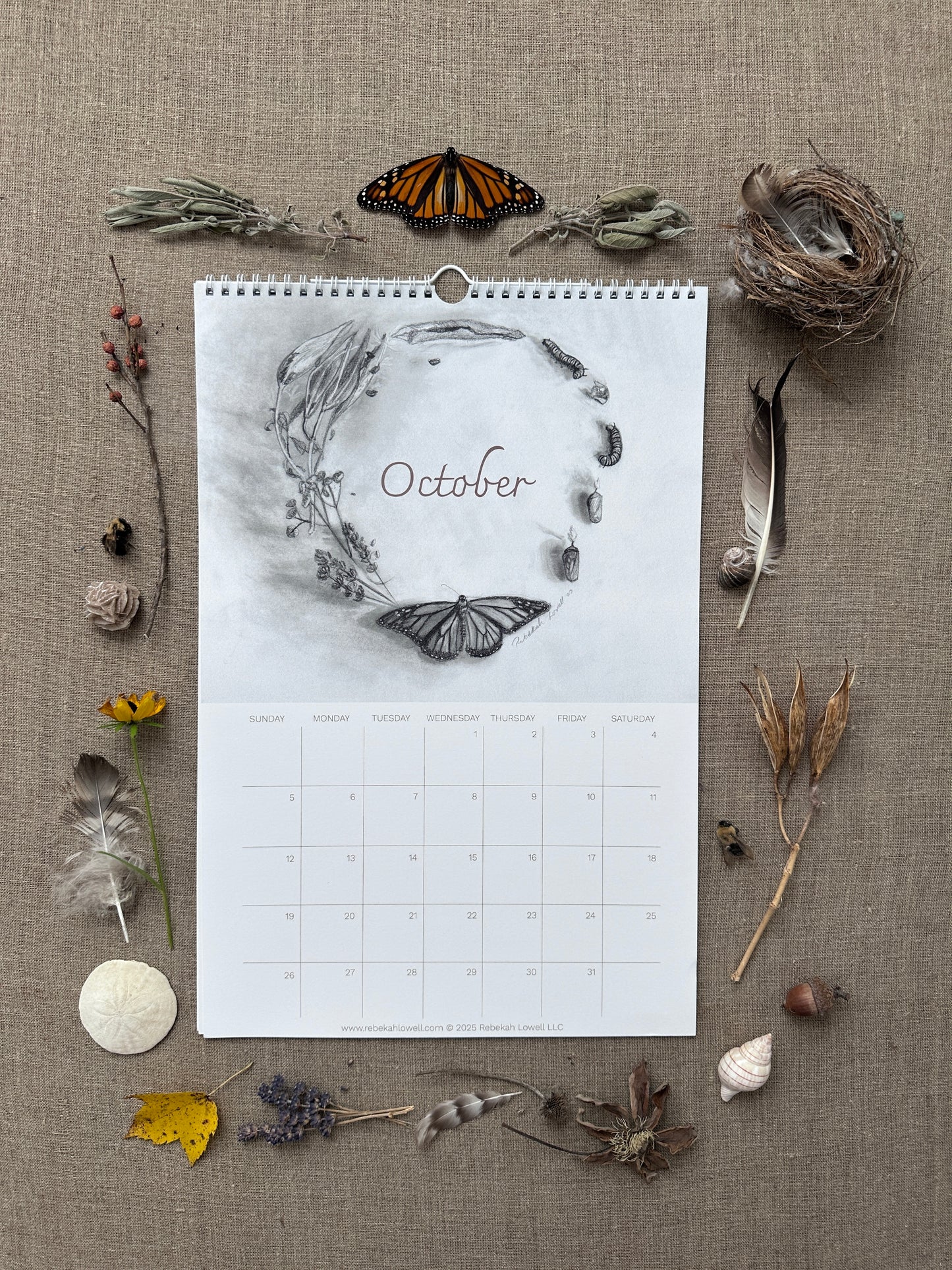 A Year in Nature 2025 Wall Calendar by Rebekah Lowell