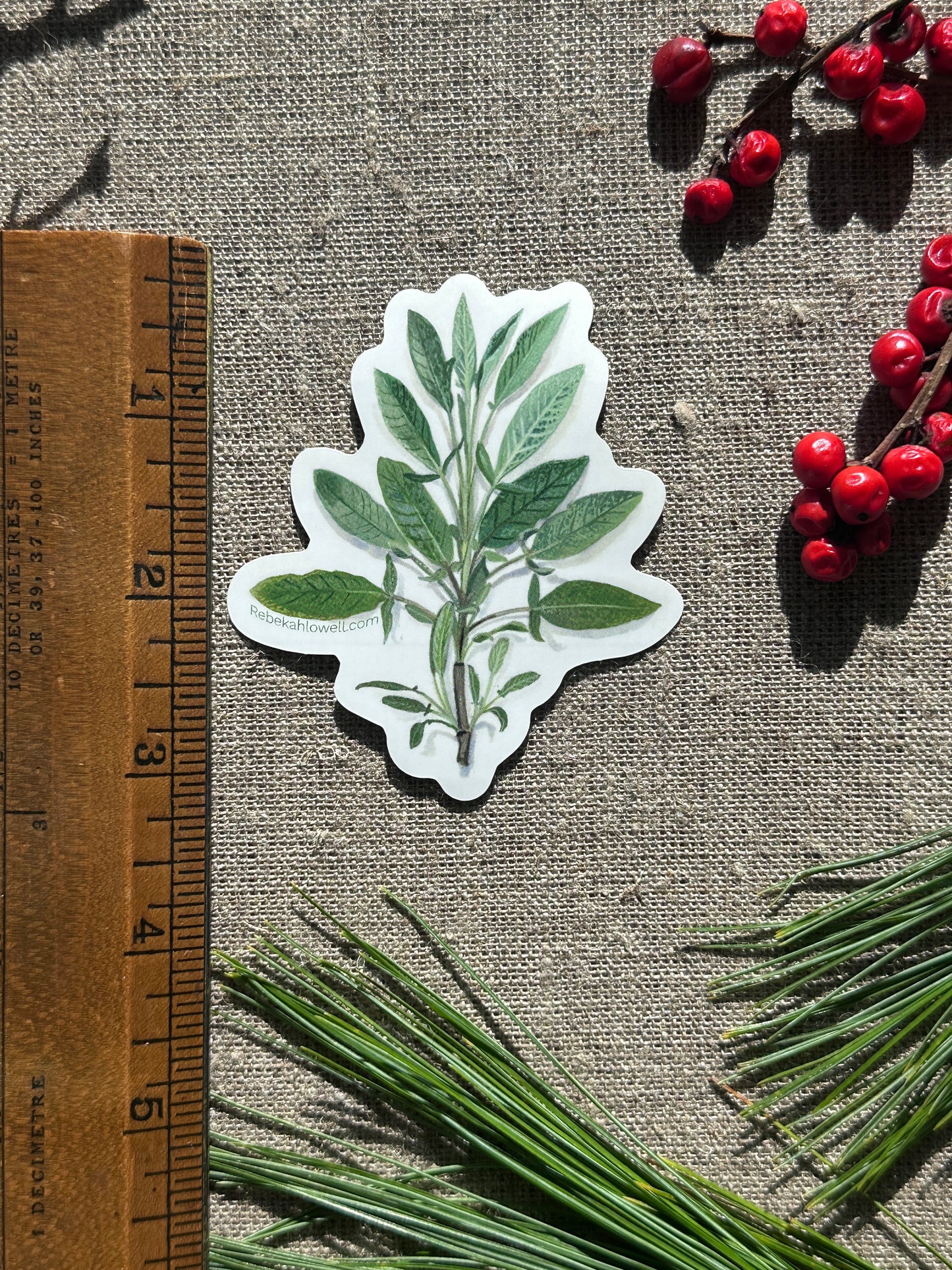 Common Sage Vinyl Decal Bumper Sticker