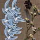 Tree Swallow Vinyl Decal Bumper Sticker