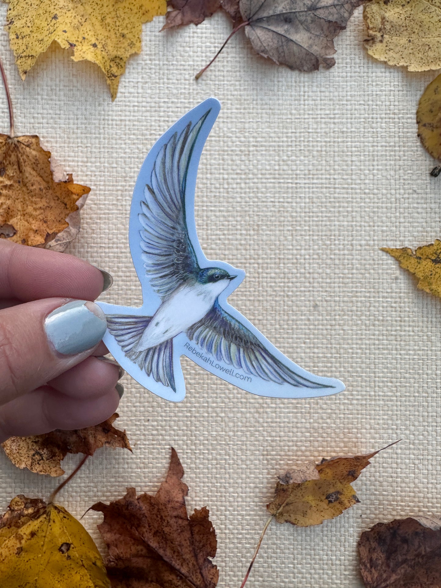 Bird Sticker Pack for Birdability Week