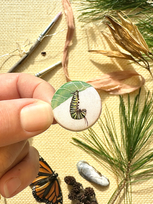 Monarch Caterpillar "J" on 1" Pin Button