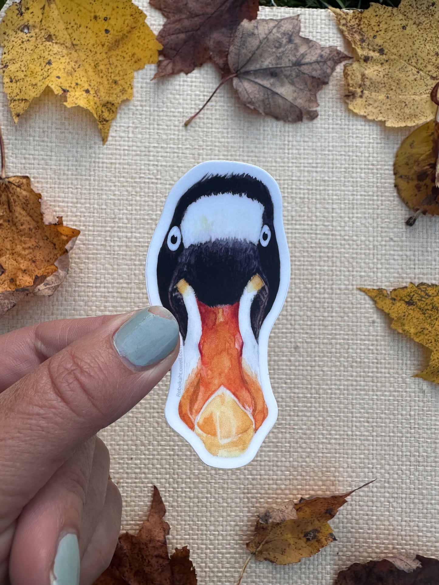 Bird Sticker Pack for Birdability Week