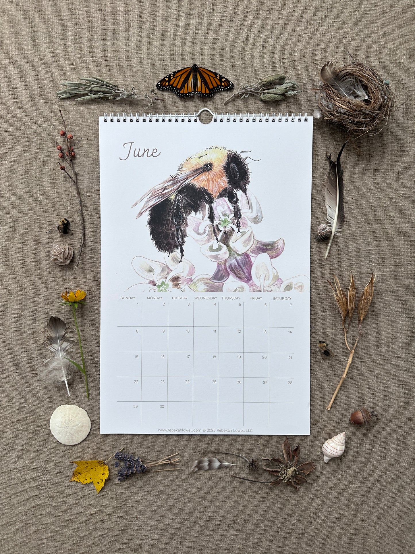 A Year in Nature 2025 Wall Calendar by Rebekah Lowell