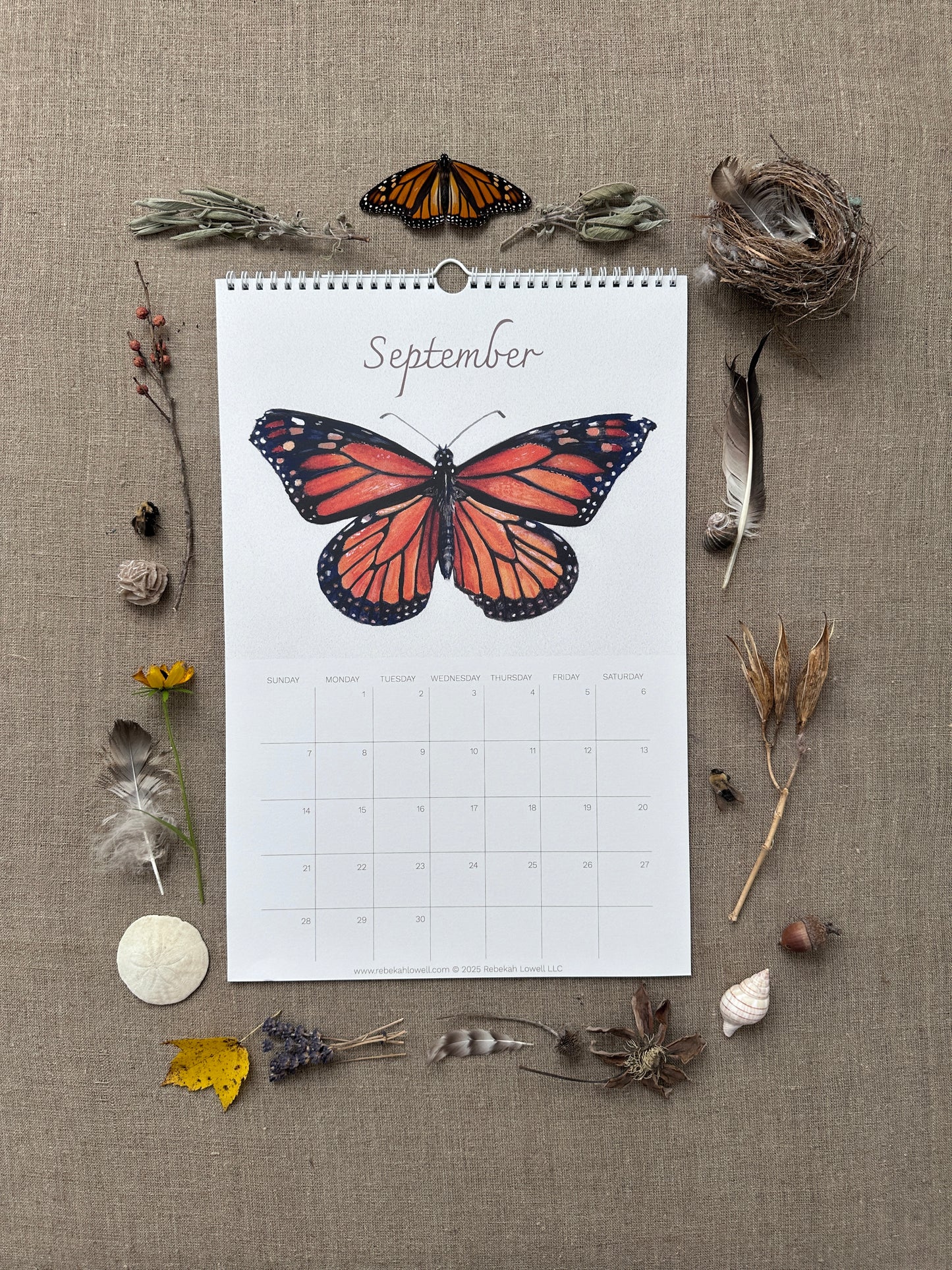 A Year in Nature 2025 Wall Calendar by Rebekah Lowell