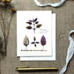 Purple Basil Blank Notecard