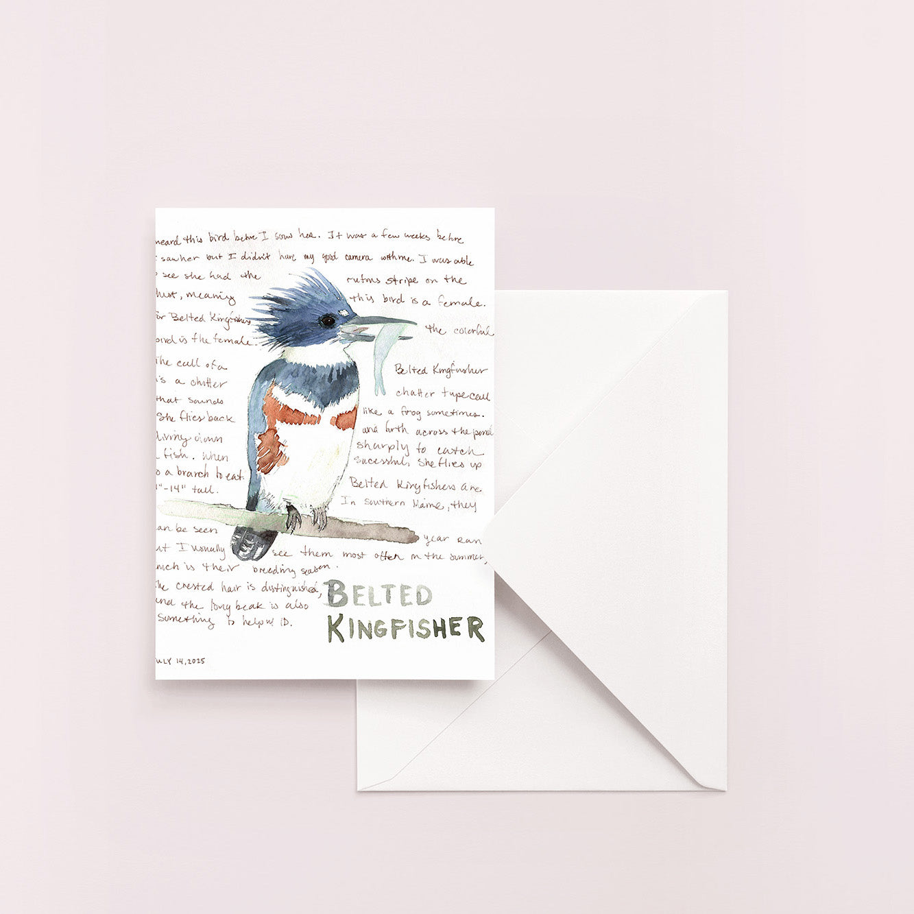 Belted Kingfisher Nature Journal Page Blank Notecard