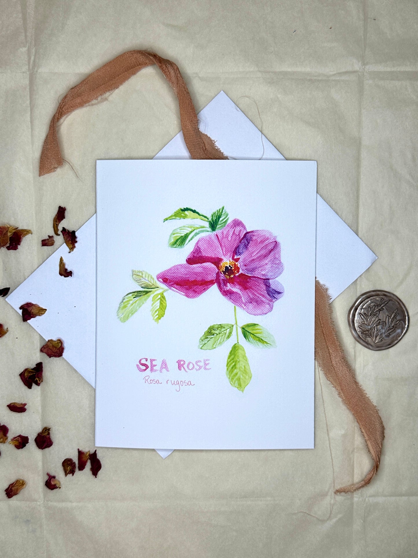 Sea Rose Blank Notecard