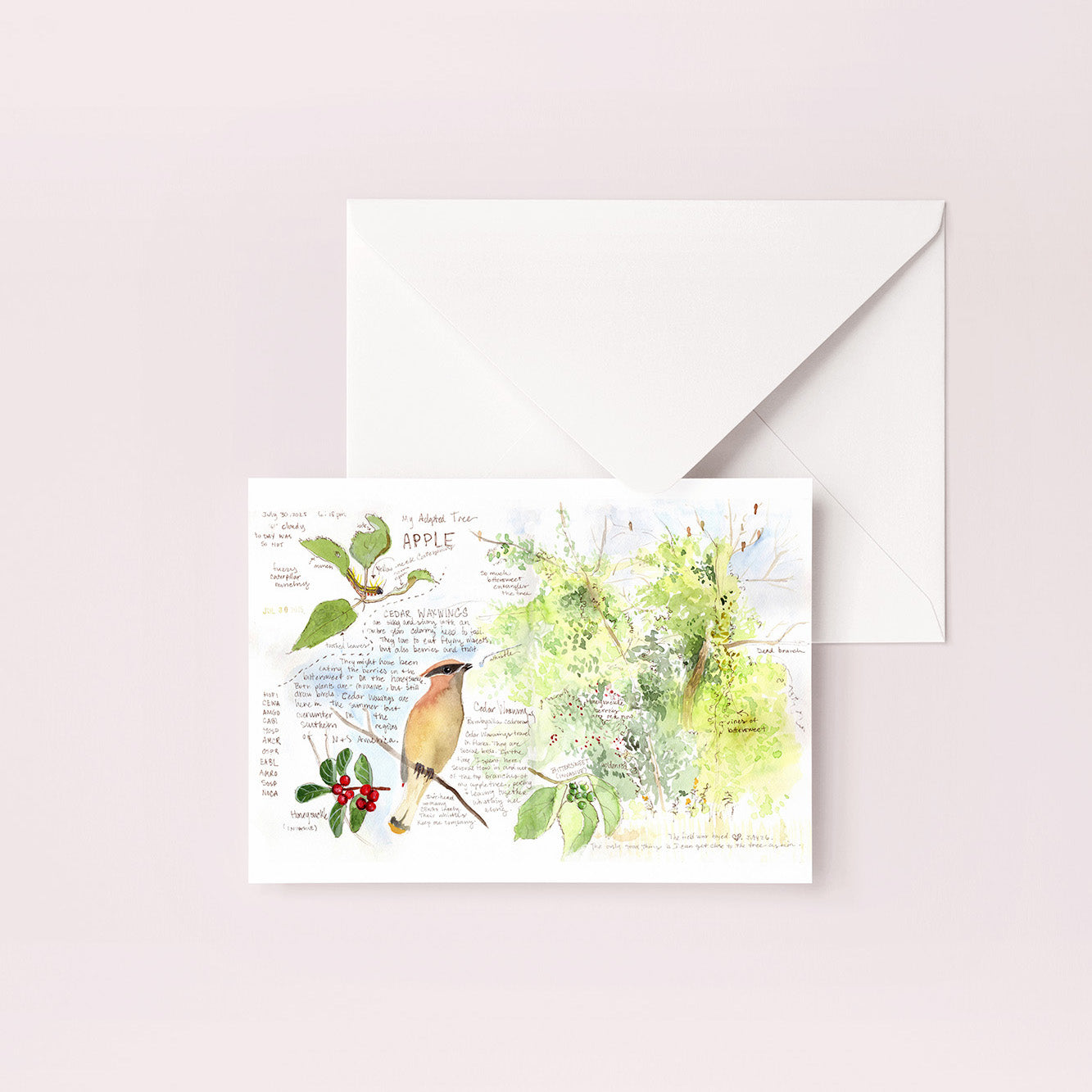 Cedar Waxwing Nature Journal Blank Notecard