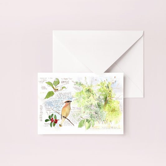 Cedar Waxwing Nature Journal Blank Notecard