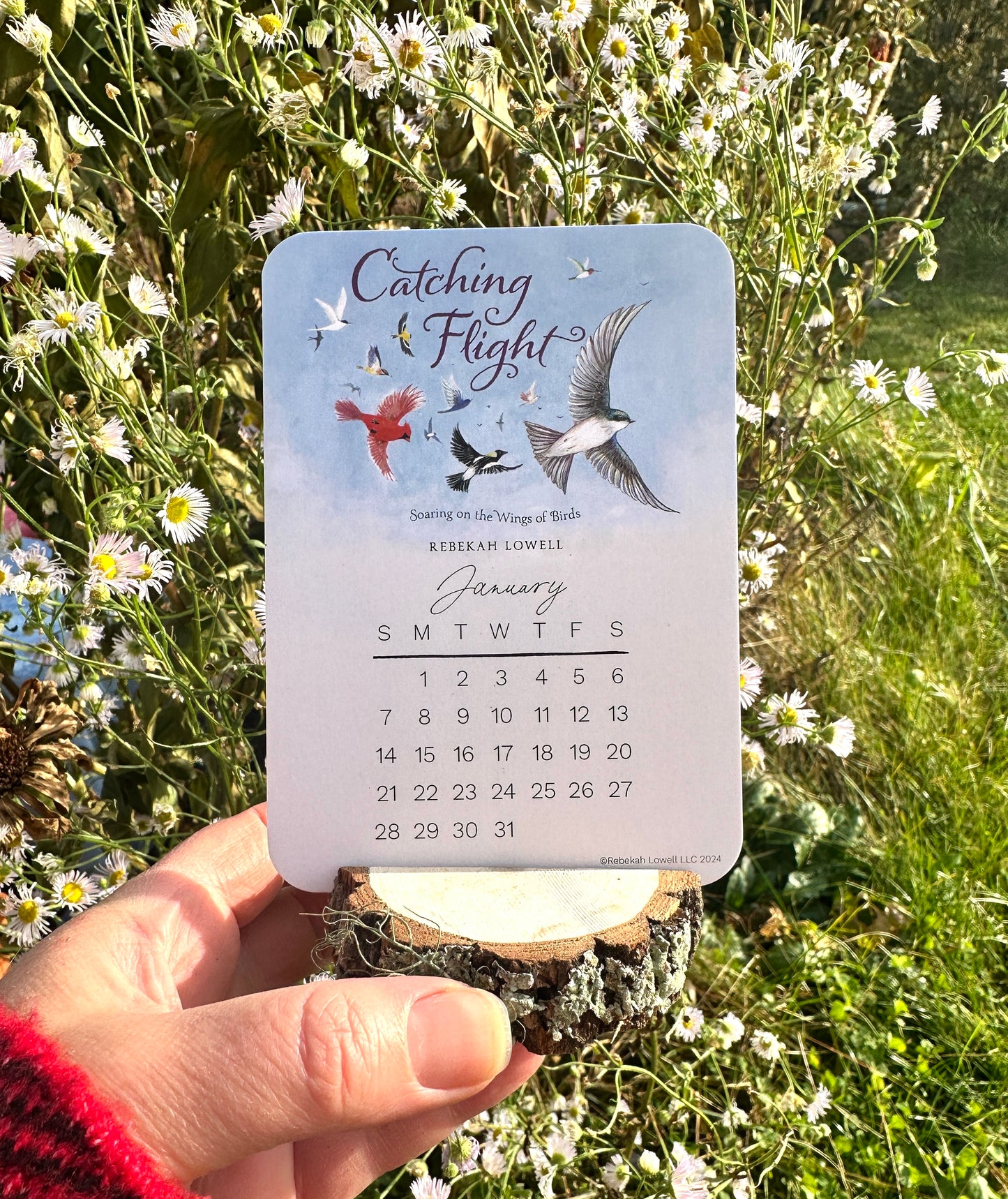 2024 Catching Flight Desk Calendar with Natural Wood Stand