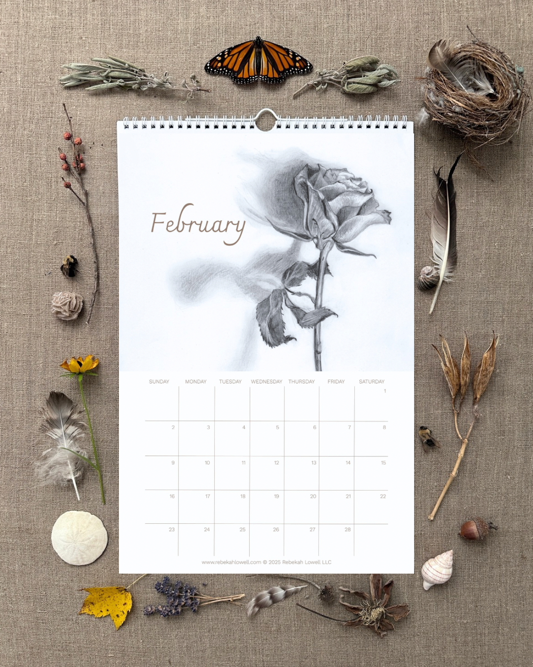 A Year in Nature 2025 Wall Calendar by Rebekah Lowell