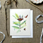 Monarchs and Milkweed Natural Science Illustration Blank Notecard