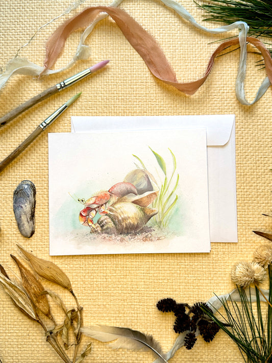 "Switching Shells" Hermit Crab Blank Notecard