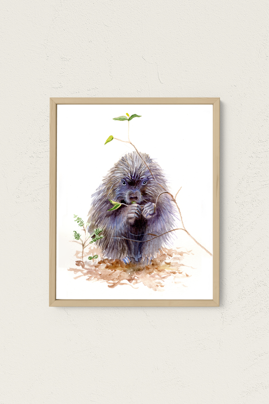 Henry the Porcupine Art Print