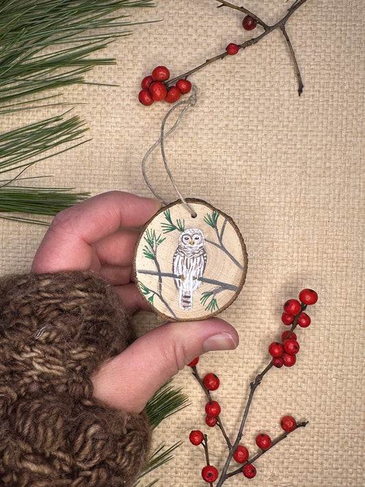 Hand-painted Wood Slice Ornament, Barred Owl #1