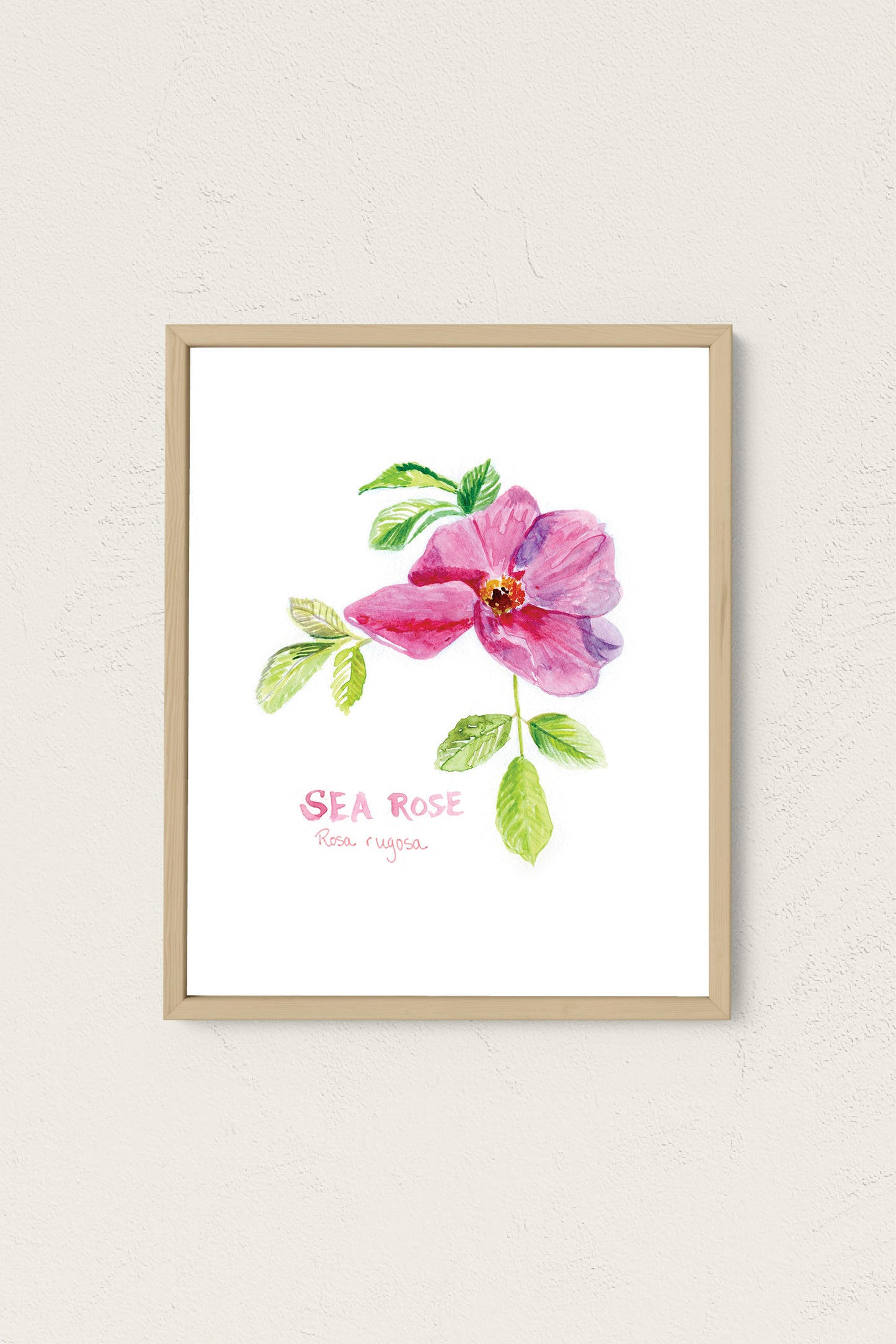 Sea Rose Art Print