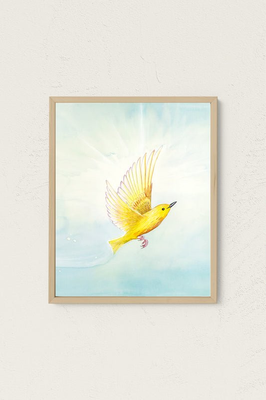 Yellow Warbler Art Print