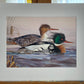 2020 Maine Duck Stamp Print, "At the Blush of Dawn",  Red-breasted Mergansers