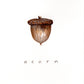 "acorn" watercolor created in Project Wild / Federal Junior Duck Stamp webinar